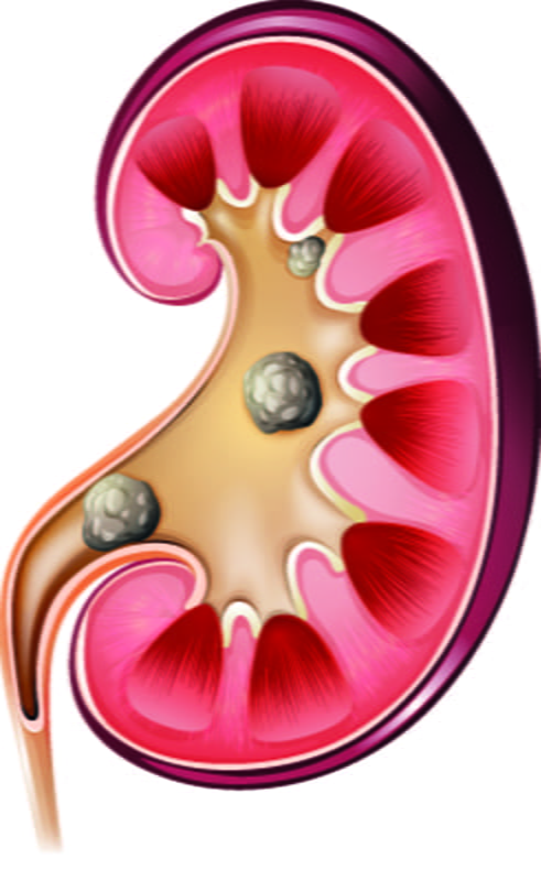CiplaMedLogo