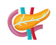 Pancreas