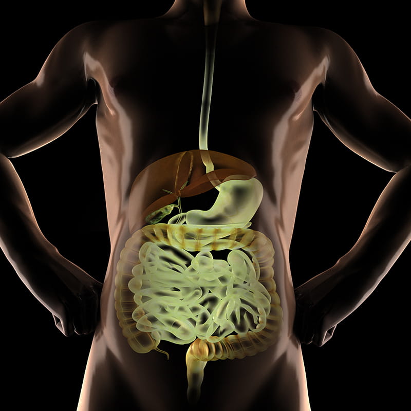 GastrointestinalcancersISS_7329_04424800pix